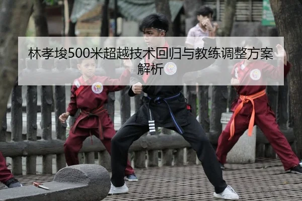 lin-xiao-jun-mi-chao-yue-ji-shu-hui-gui-yu-jiao-lian-tiao-zheng-fang-an-jie-xi-2-436.jpg